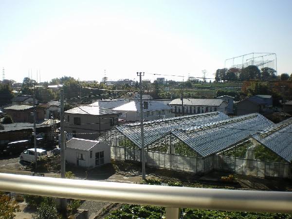 Other introspection. Landscape from the balcony.