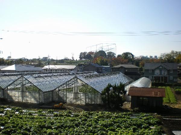 Other Environmental Photo. 10m to the landscape from the garden