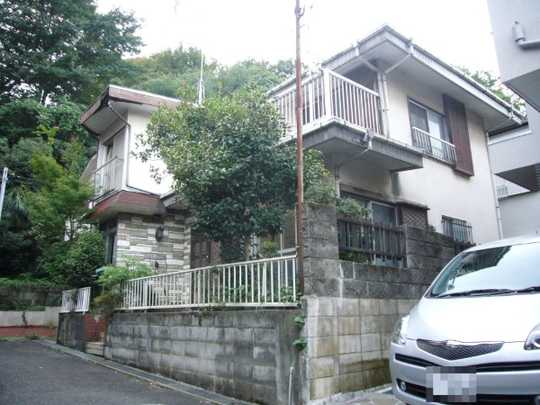 Local land photo. Appearance 1