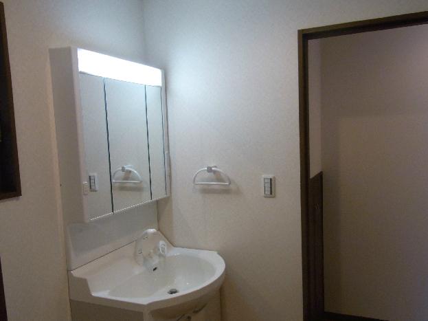 Wash basin, toilet. Bathroom vanity