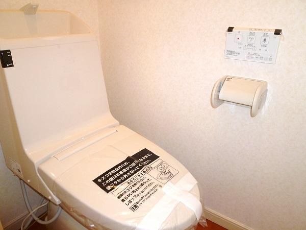 Toilet. Interior construction cases (toilet)