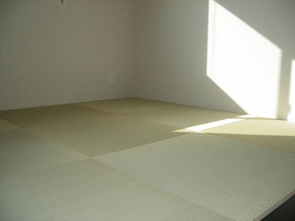 Non-living room. Indoor (10 May 2013) Shooting