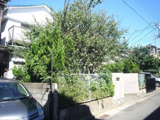 Local land photo. Appearance 1