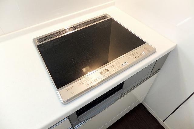 Kitchen. IH stove (July 14, 2013) Shooting