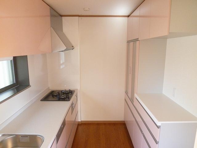 Kitchen. Indoor (January 29, 2013) Shooting