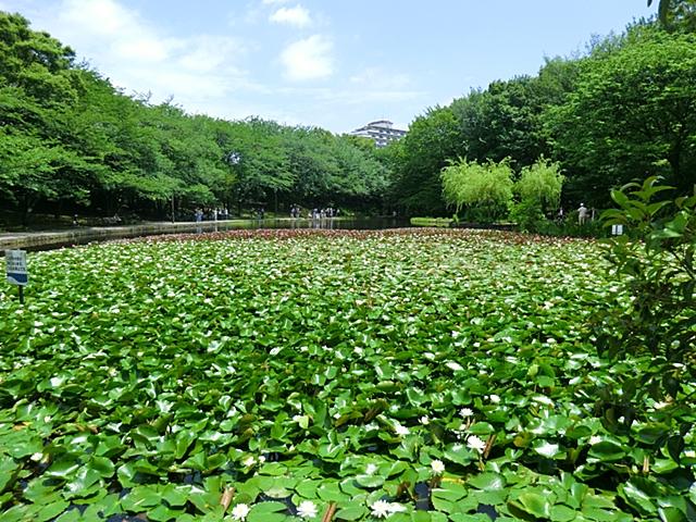 park. Bright park drenched 1400m yang to babble park. I hear the cheerful voice of children.