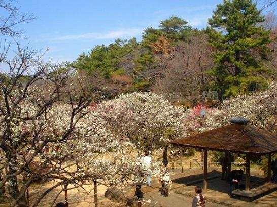 park. 800m until Okurayama park