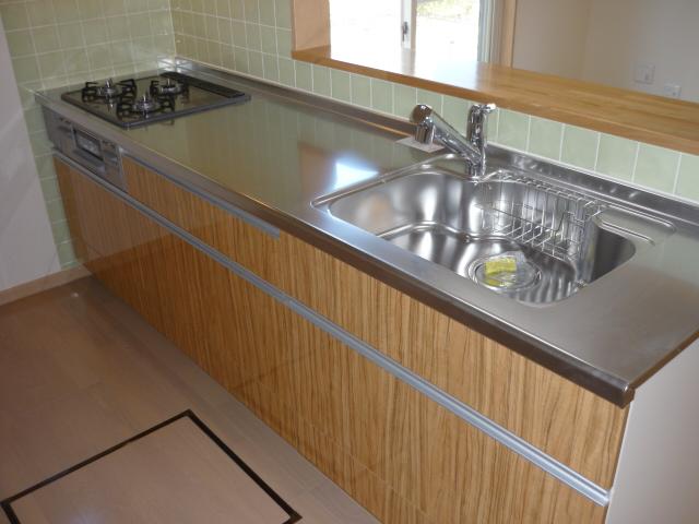 Kitchen. Indoor (11 May 2013) Shooting