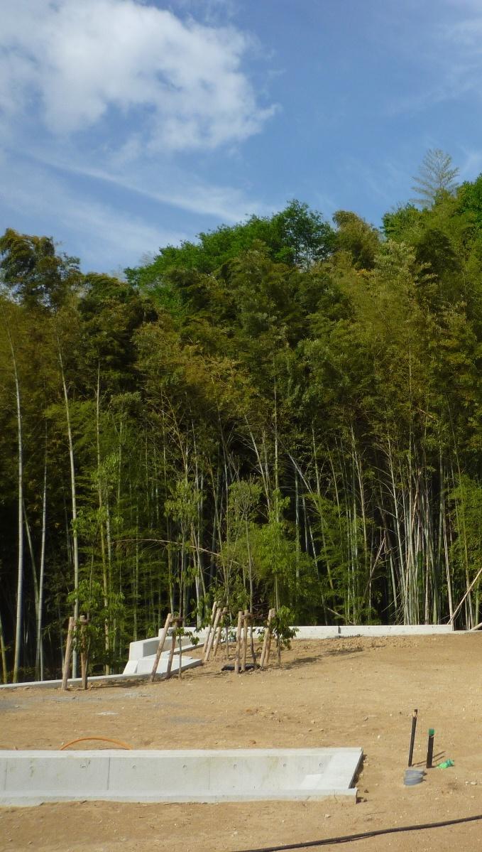 Local appearance photo. Subdivision is full also as green can see! Local (June 2012) shooting.