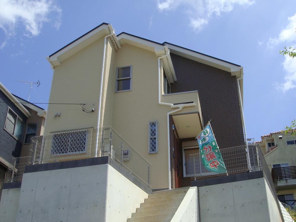 Local appearance photo. local