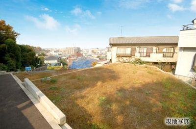 Local land photo. Local Photos