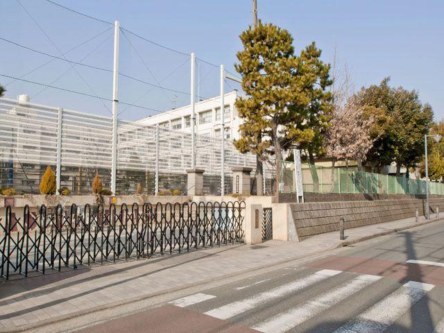 Primary school. Yokohama Municipal Tsunashimahigashi 300m up to elementary school