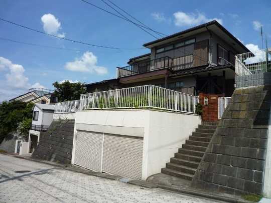 Local land photo. Appearance (1)