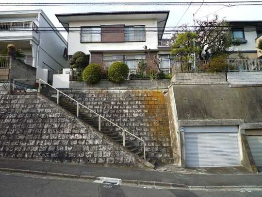 Local land photo. Appearance (1)