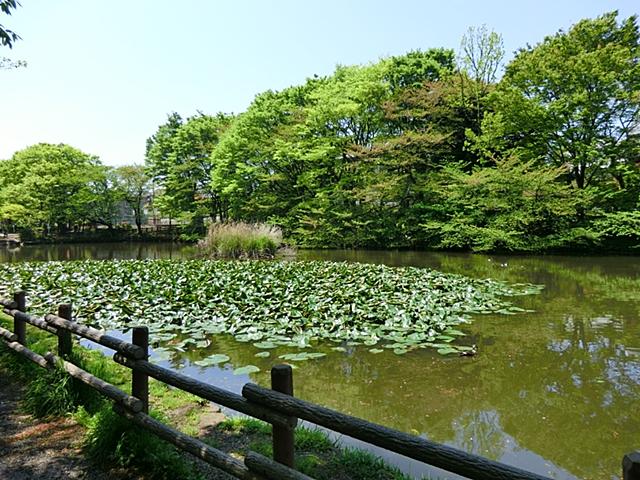 park. 1610m until Kikuna pond park