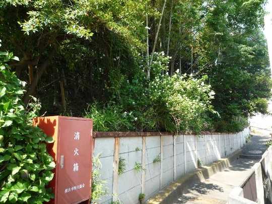 Local land photo. The property as seen from the southwest side