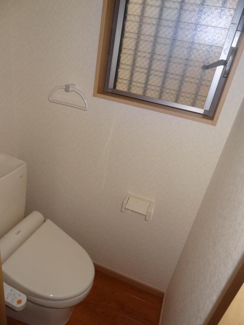 Toilet. Indoor shooting