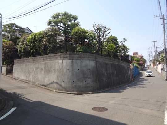 Local land photo. appearance