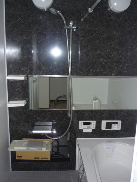 Bathroom. Indoor (12 May 2013) Shooting