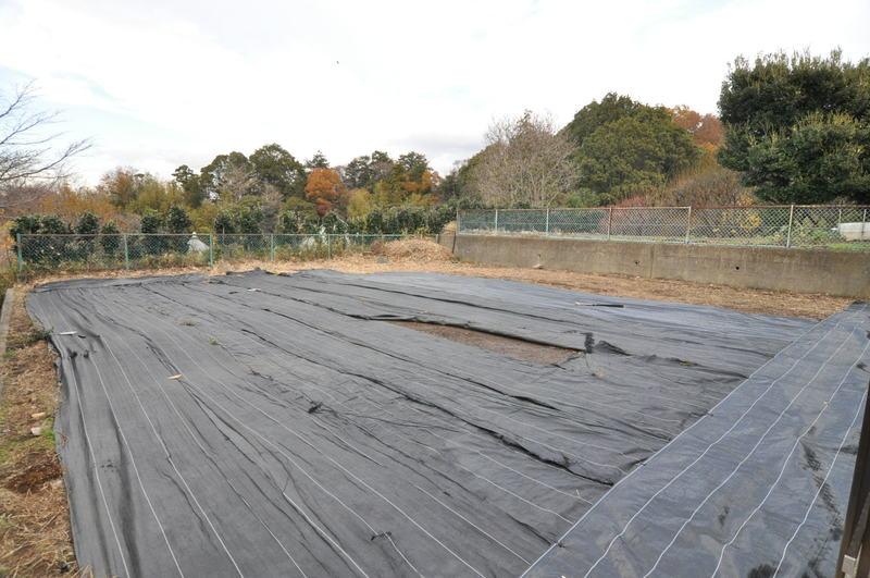 Local land photo. Green is rich and living environment favorable! !