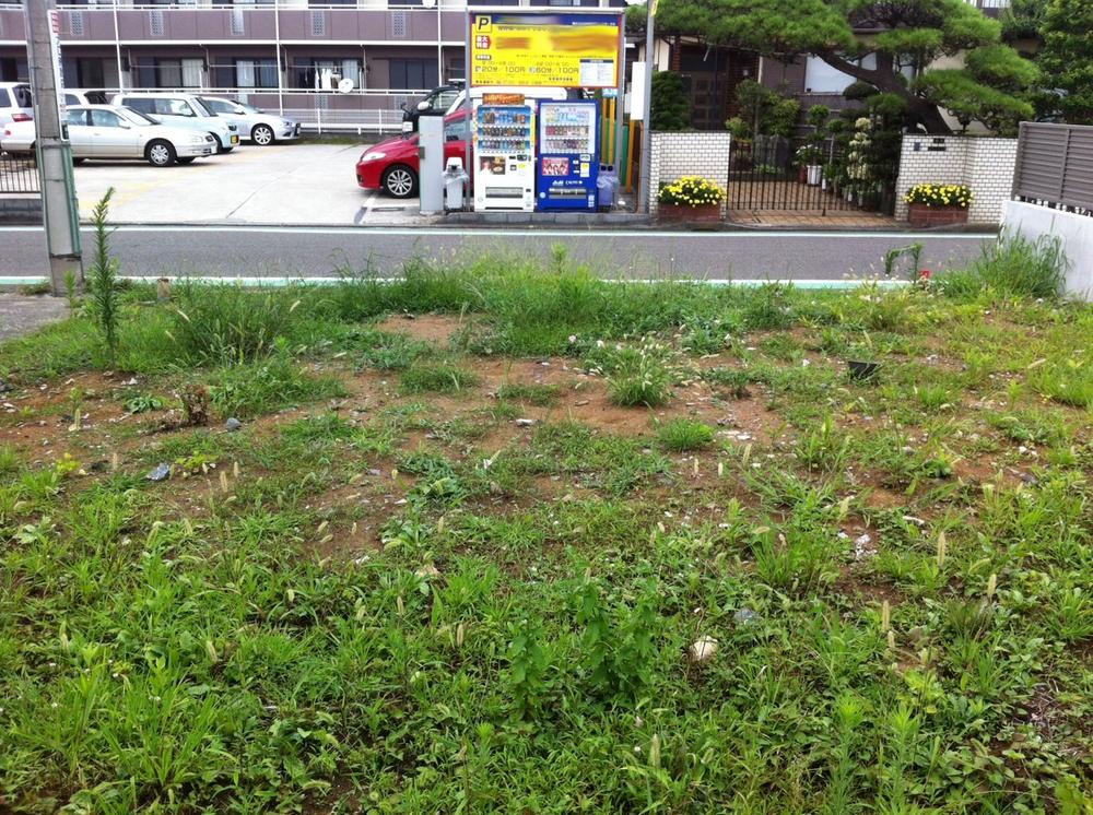 Local land photo. Local (July 2013) Shooting