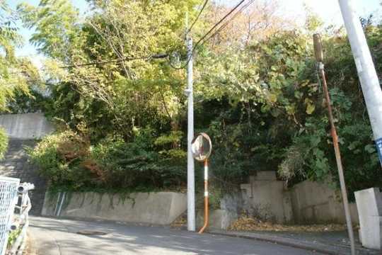 Local land photo. Local (with Furuya)