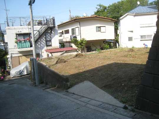 Local land photo. appearance