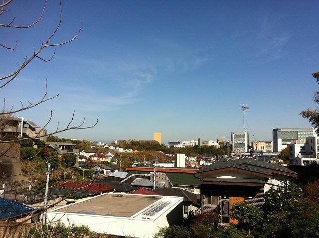 View photos from the local