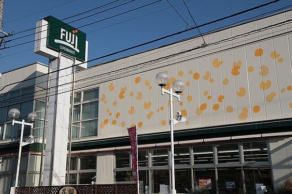 Supermarket. Fuji Toriyama to the store 537m