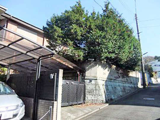 Local land photo. appearance