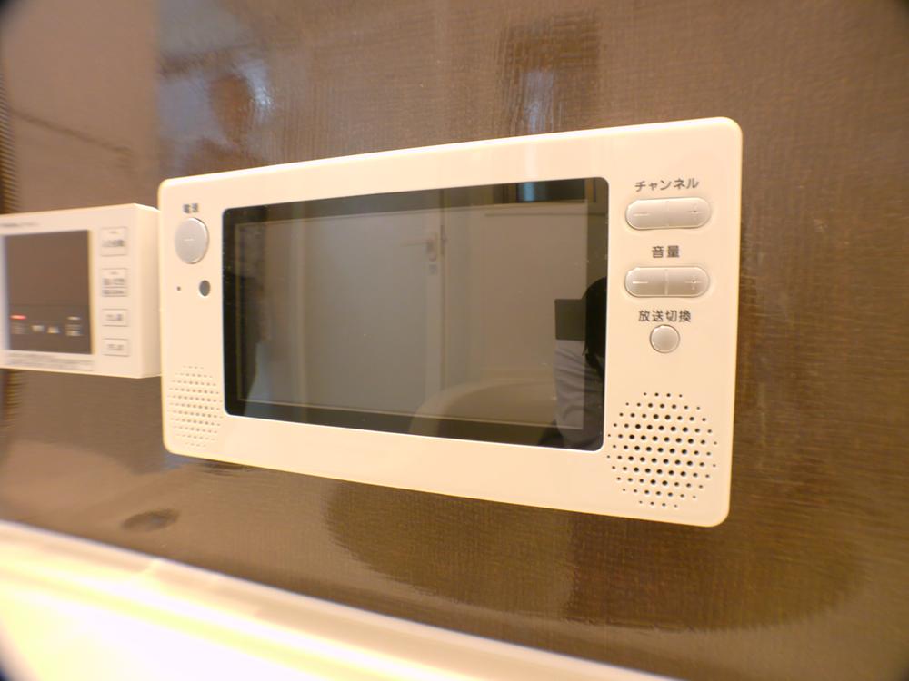 Other introspection. Bathroom TV