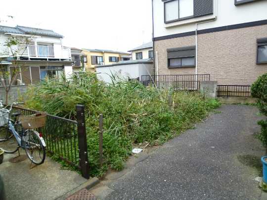 Local land photo. Local (1)