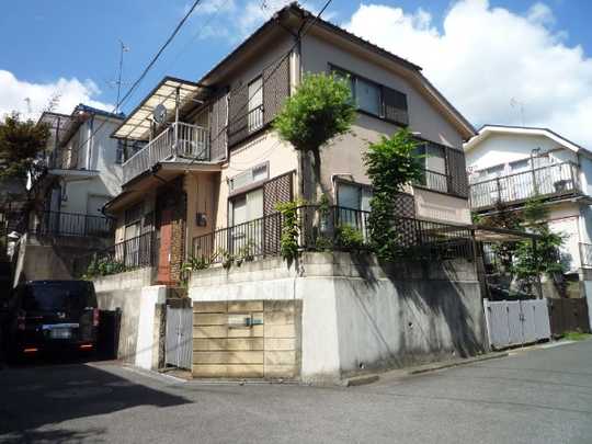 Local land photo. Appearance (1)