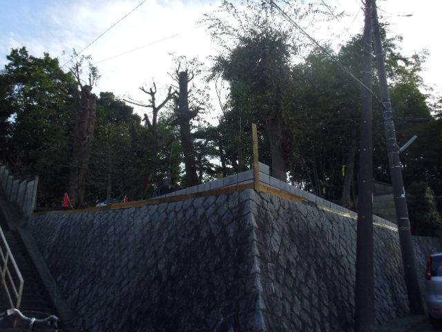 Local land photo. Local (11 May 2013) Shooting