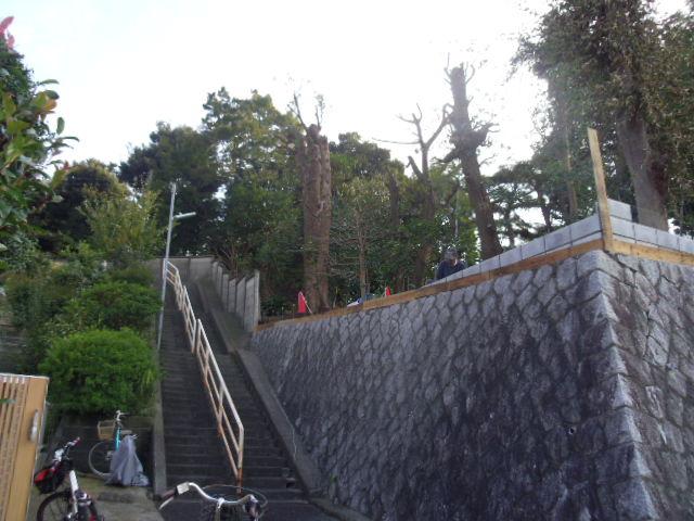 Local land photo. Local (11 May 2013) Shooting