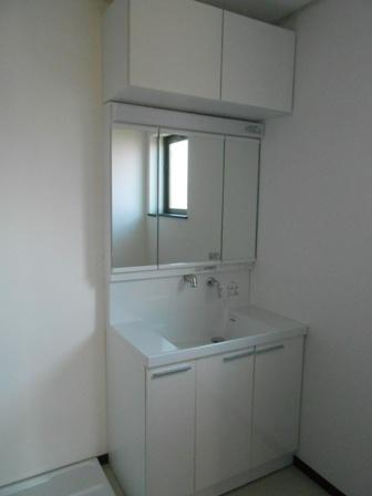 Wash basin, toilet.  [Bathroom vanity] Storage rich vanity.