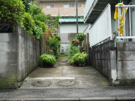 Local land photo. Dedicated passage