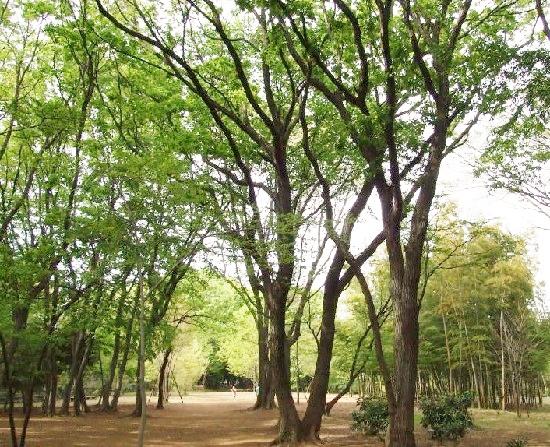 park. 700m to Hiyoshi hill park