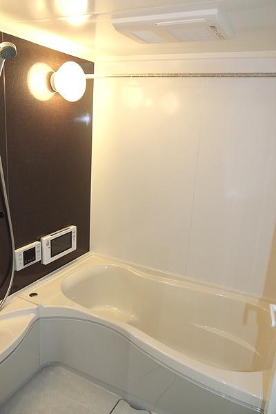 Bathroom. Indoor (10 May 2013) Shooting