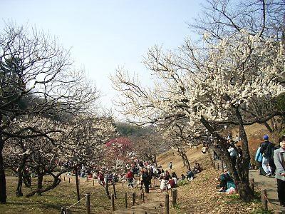 park. 1642m to Okurayama park
