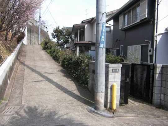 Local land photo. North road and the entrance part