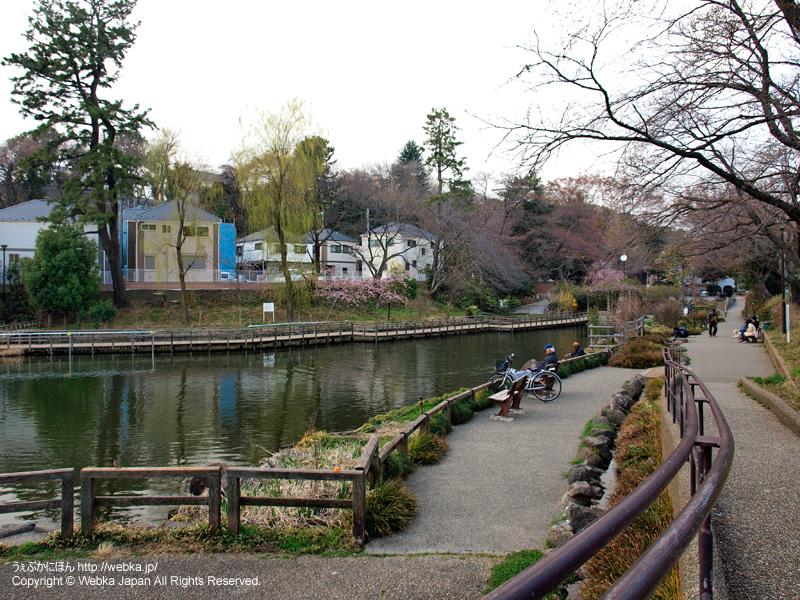 park. 200m to Shirahata pond park