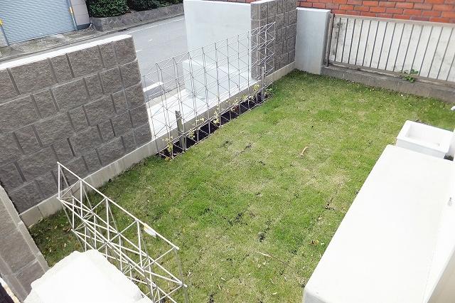 Garden. Local (October 17, 2013) Shooting