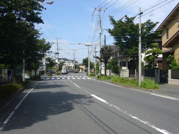 Local photos, including front road