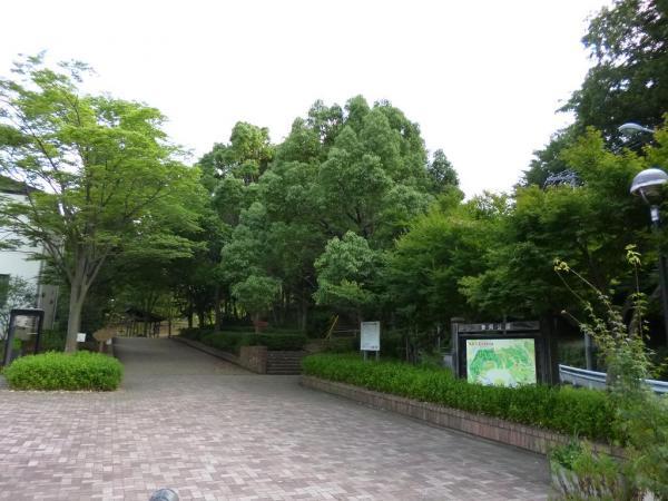 park. 300m until Maioka park