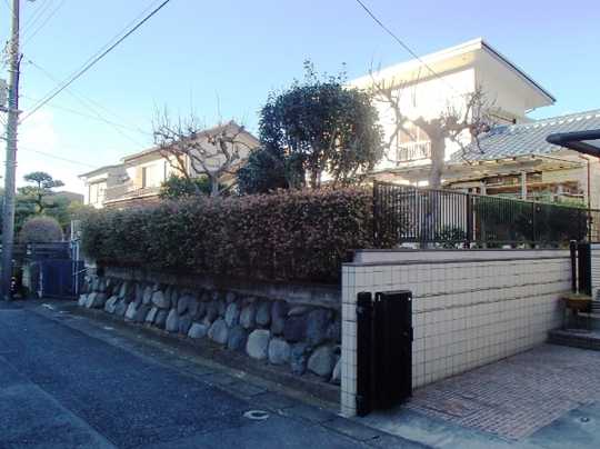 Local land photo. Property Appearance (1)