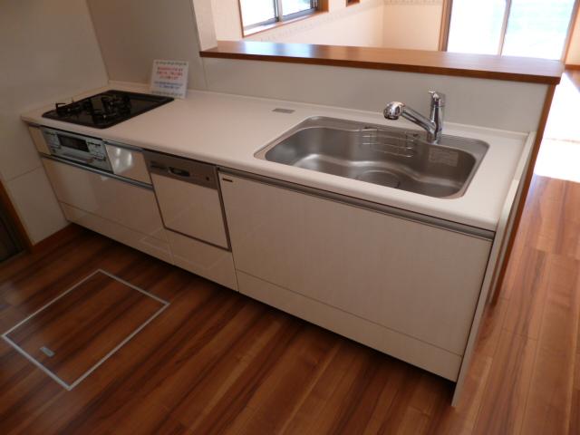 Kitchen. Indoor (11 May 2013) Shooting