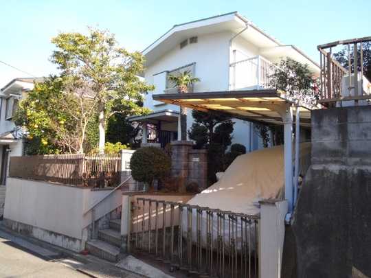 Local land photo. Appearance (1)