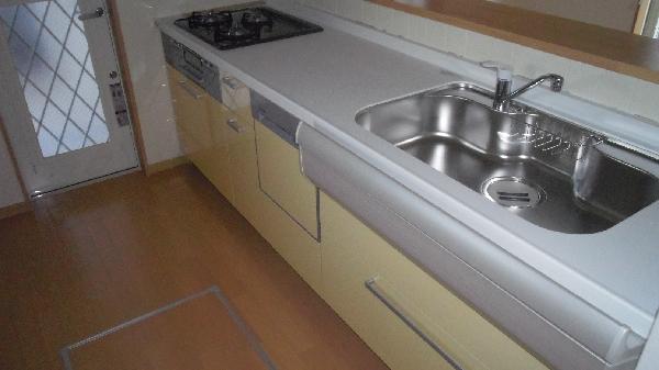 Kitchen. Back door there