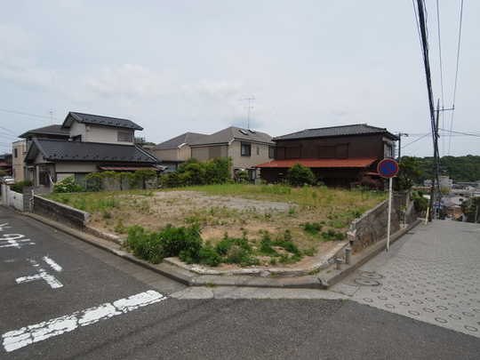 Local land photo